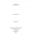 Semana 5. La Inflación. Actividad 5