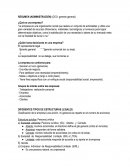 RESUMEN (ADMINISTRACIÓN) (CEO: gerente general)