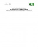 Procesa productos hortofrutícolas