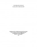 CASOS ORGANIZACIONALES Caso 10. Compañía manufacturera K