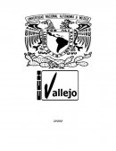 ROLES Y ACTIVIDADES ECONOMICAS EN LA NUEVA ESPAÑA