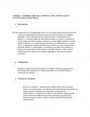 COMPORTAMIENTO, COMUNICACIÓN, MOTIVACIÓN Y CULTURA ORGANIZACIONAL