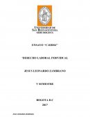 ENSAYO ‘‘C-038/04’’ ‘DERECHO LABORAL INDIVIDUAL