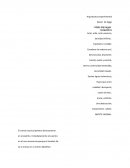 Arquitectura experimental Bosón de higgs