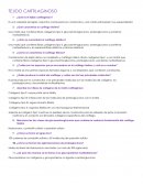 HISTOLOGIA TEJIDO CARTILAGINOSO