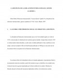 LA DISCIPLINA DE LAS RELACIONES INTERNACIONALES: GENESIS ACADEMICA