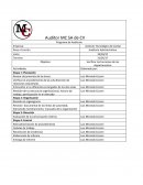 Auditor MC SA de CV
