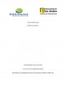 Desarrollo de caso Indupalma