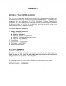 ESTADOS FINANCIEROS BÁSICOS RESUMEN