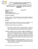 IDENTIFICANDO Y VALORANDO NUESTRA IDEA DE NEGOCIO