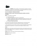 CAPITULO 95 JUGUETES, JUEGOS Y ARTICULOS PARA RECREO O DEPORTE; SUS PARTES Y ACCESORIOS