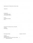 Implementación de Niff para Pymes en Motos y Motos