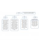 Explica, a partir del siguiente texto, en que consiste la actitud filosófica