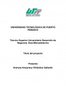 Técnico Superior Universitario en Desarrollo de Negocios, Área Mercadotecnia