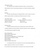 Arquitectura. TIPO EDIFICATORIO	MODELO