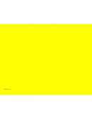 PROYECTO DE EQUIPO MERCADOTECNIA ADMINISTRACION.