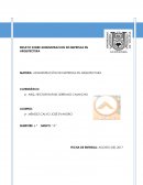 ENSAYO SOBRE ADMINISTRACION DE EMPRESAS EN ARQUITECTURA