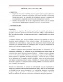Granulado PRÁCTICA