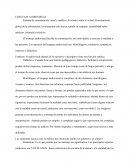 Informe Lenguaje Audiovisual