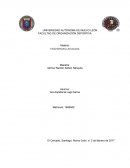 Fisioterapia Aplicada. “Historia de la fisioterapia”