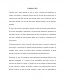 Contribuir con el medio ambiente no sólo es reciclar y reutilizar todo aquello que se compra, sino también, es importante reducir; para ello, lo mejor que se puede hacer