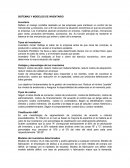 SISTEMAS Y MODELOS DE INVENTARIO