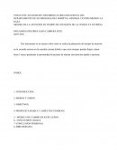 El nuevo Análisis del desarrollo organizacional del departamento de neumologia