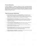 La prensa hidráulica es un mecanismo conformado por vasos comunicantes impulsados por pistones de diferentes áreas que