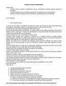 IPAP TRABAJO PRACTICO FINAL INTEGRADOR BBC
