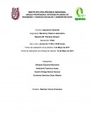 Reporte Péndulo Simple