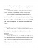 Sectores Mas Representativos Del Sector De Mosquera