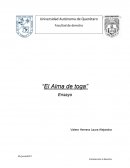 Este libro nos habla de lo que está pasando con todos los abogados y es por eso que los abogados