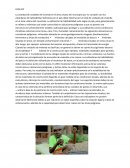 La cantidad de unidades de vivienda en el área urbana del municipio que no cumplen con los estándares de habitabilidad definidos por el país debe dividirse por el total de unidades de vivienda en el área urbana del municipio