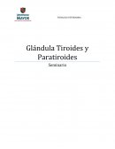 Glándula Tiroides y Paratiroides