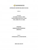 COMERCIO INFORMAL NEIVA INTRODUCCIO INVEST