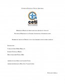 Reporte de Proyecto presentado para obtener el título de