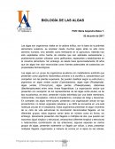 BIOLOGÍA DE LAS ALGAS