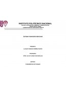 SISTEMA FINANCIERO MEXICANO. ORGANIZACIÓN OPERACIONES FINANCIERAS