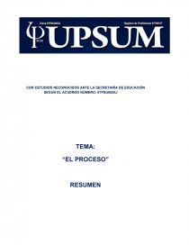 Resumen el proceso. Página 1