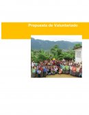 Información General del Voluntariado