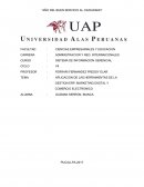 APLICACION DE LAS HERRAMIENTAS DE LA GESTION ERP, MARKETING DIGITAL Y COMERCIO ELECTRONICO