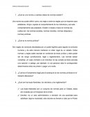 ¿Qué es una norma y cuantas clases de normas existen?