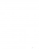 Estudio del caso WENDY