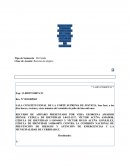 Tipo de Sentencia: De Fondo Clase de Asunto: Recurso de amparo