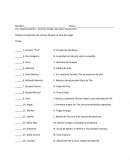 Pareo Personajes Novela En Grandes Ligas