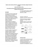 Reporte sobre elementos difusores y elementos absorbentes