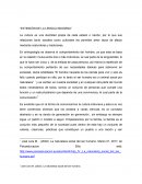 Extinsion de las lenguas indigenas