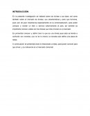 ¿Qué son las divisas?