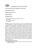 TRABAJO PRÁCTICO ECONOMIA POLITICA