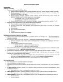 Anatomia y fisiologia de higado